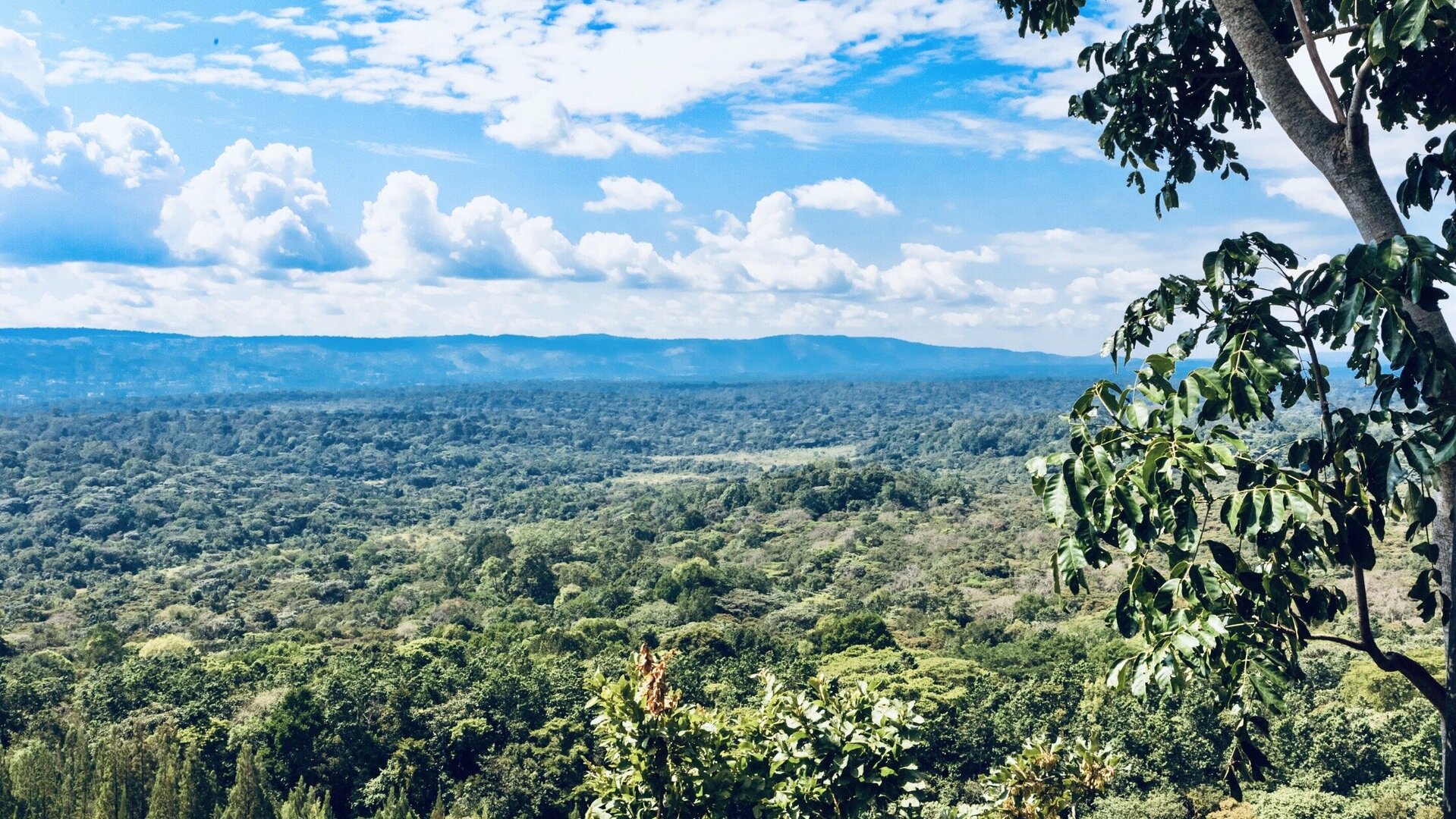 Schon gewusst? Gundlach-Mieter:innen schützen das Weltklima.