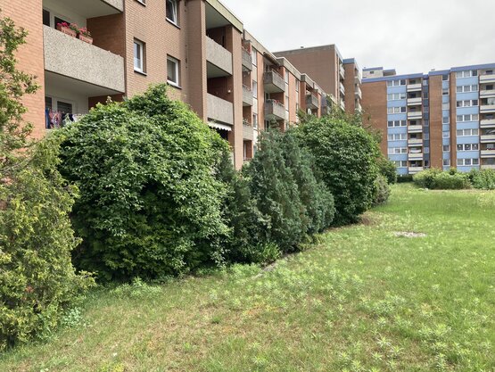 Vorher-Zustand am Nobelring im Roderbruch