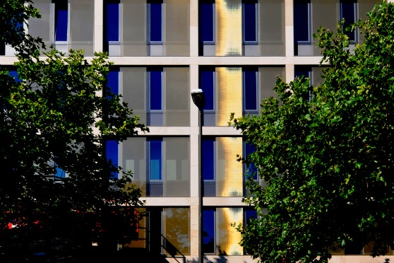 Tolle Kontraste Tolle Kontraste